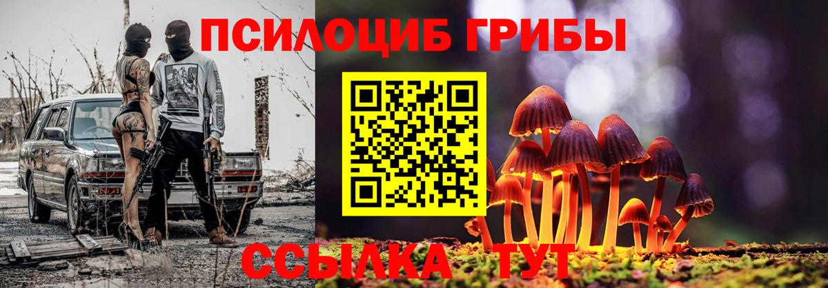 закладка  Галлюциногенные грибы мухоморы  Галлюциногенные грибы MAGIC MUSHROOMS  Вход с VPN  Томск 