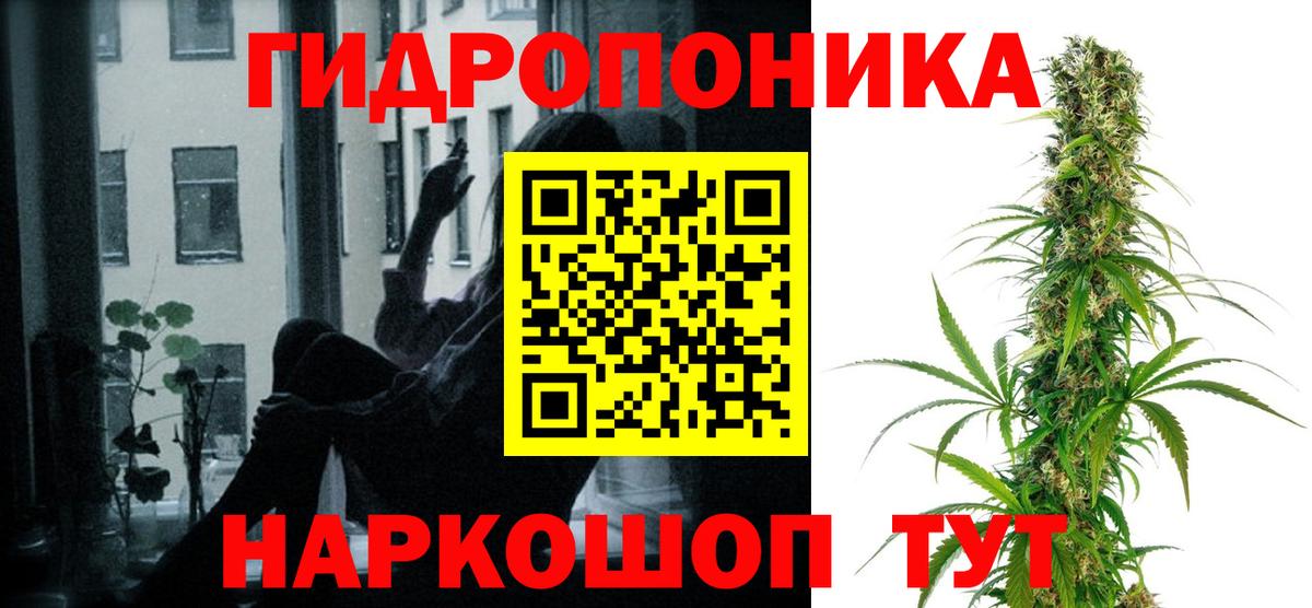 Канабис MAZAR Томск